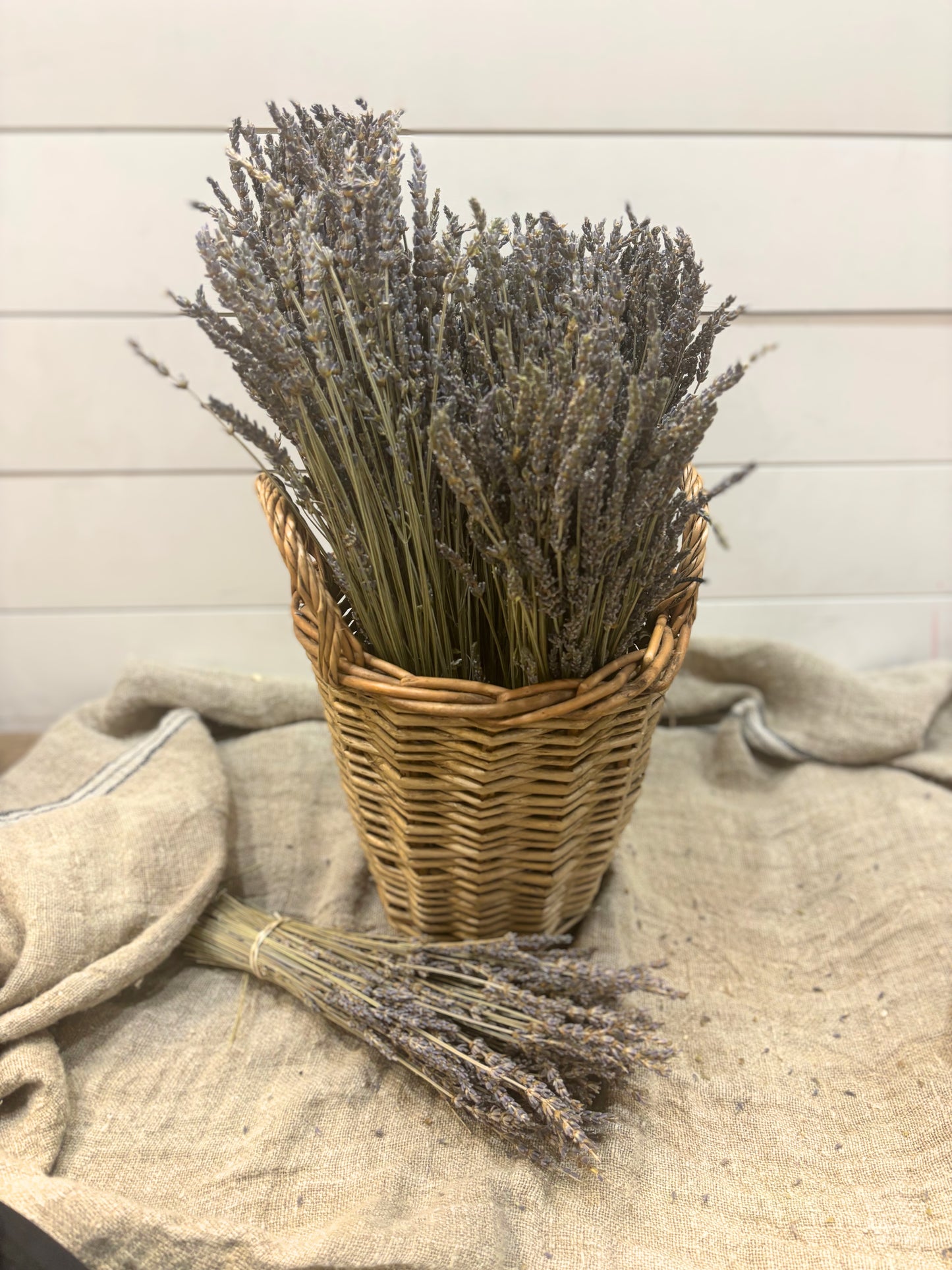 Natural Dried Lavender