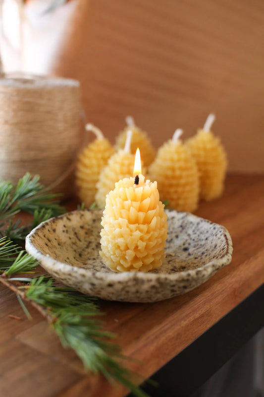 Pine Cone Melts